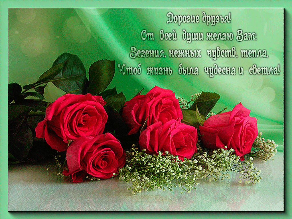 Дорогие друзья