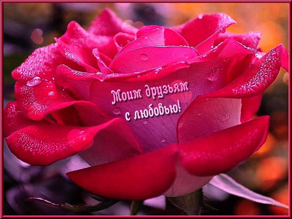 Друзьям с любовью