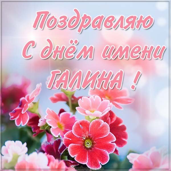Электронная открытка с днем имени Галина