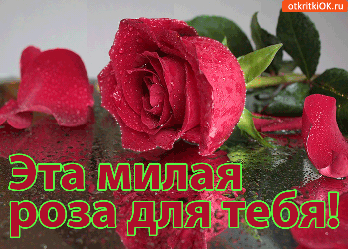 Эта милая роза для тебя!
