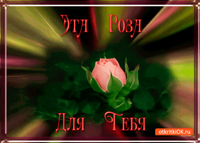 Эта роза твоя