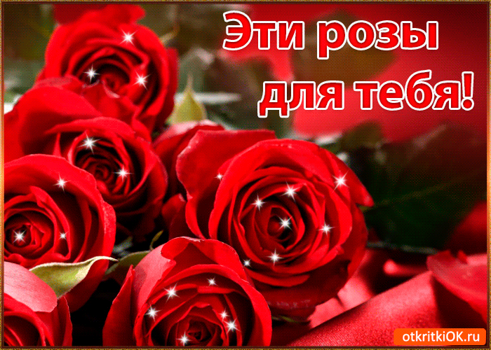 Эти Розы Для Тебя Эти Розы Для Тебя