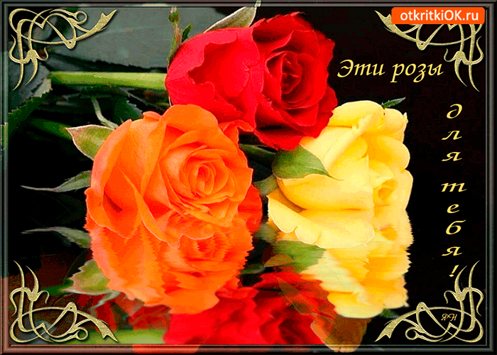 Эти яркие розы для тебя