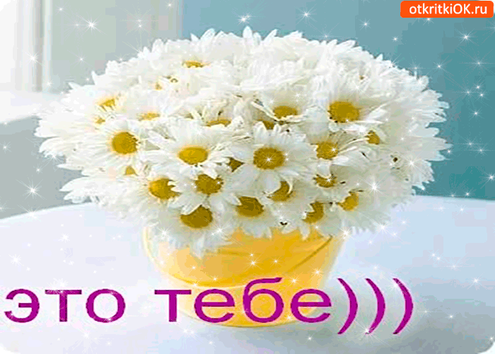 Это тебе, ведро ромашек Это тебе, ведро ромашек