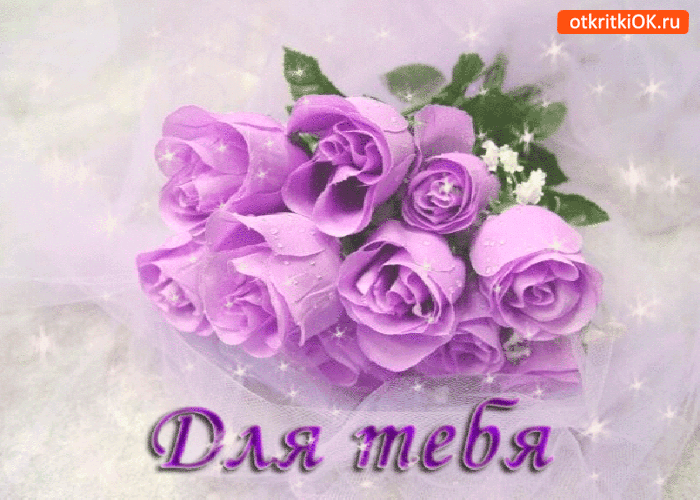 Фиолетовый букет