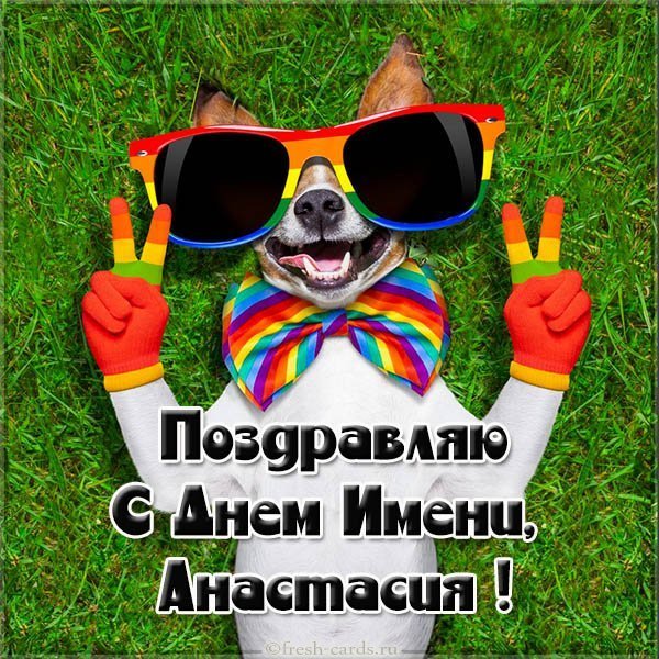 Фото открытка на день Анастасии