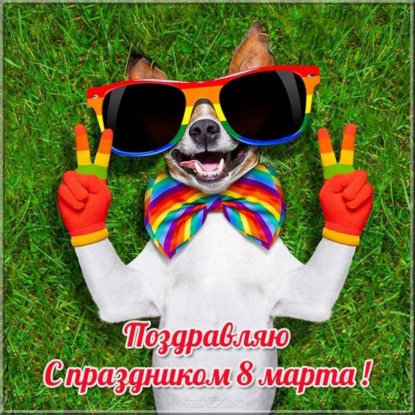 Фото открытка с 8 марта
