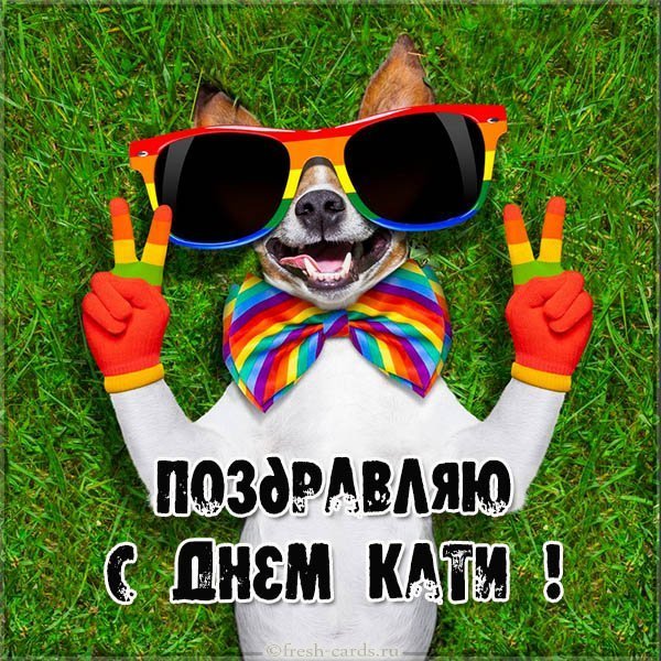 Фото открытка с днем Кати