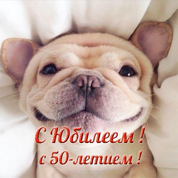 Фото открытка с юбилеем 50