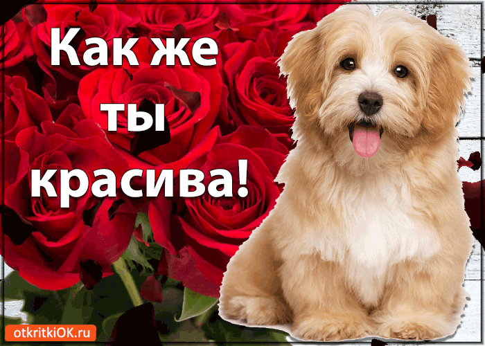 Как же ты красива!