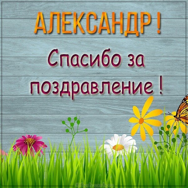 Картинка Александр спасибо за поздравление