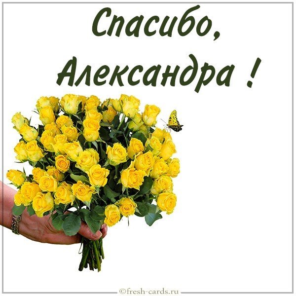 Картинка Александра спасибо