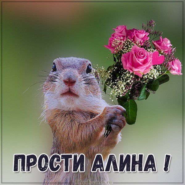 Картинка Алина прости