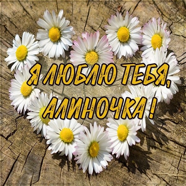 Картинка Алиночка я тебя люблю