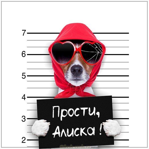 Картинка Алиска прости