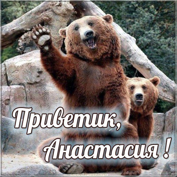 Картинка Анастасия приветик