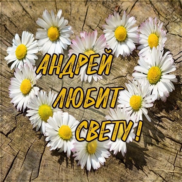 Картинка Андрей любит Свету