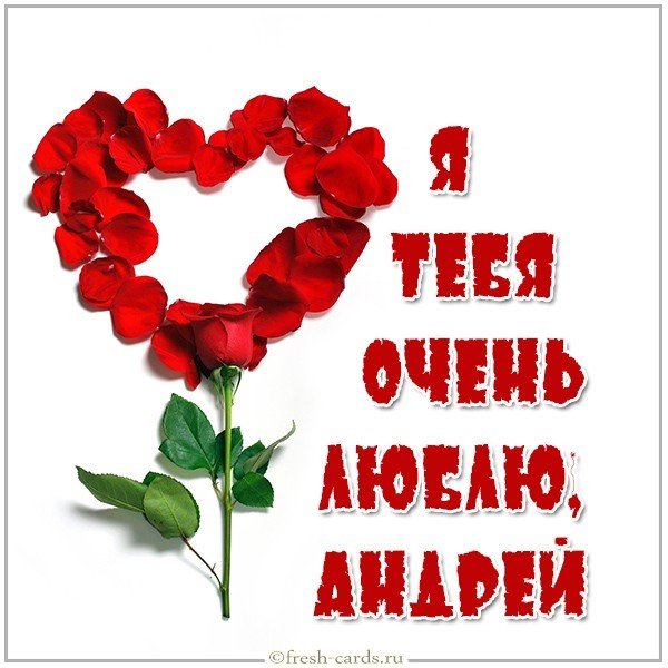 Картинка Андрей я тебя очень люблю