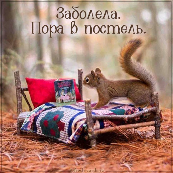 Картинка белка болеет