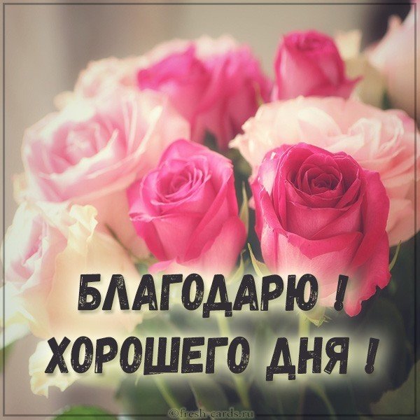 Картинка благодарю хорошего дня