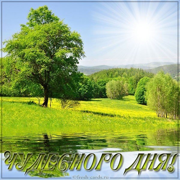 Картинка чудесного дня