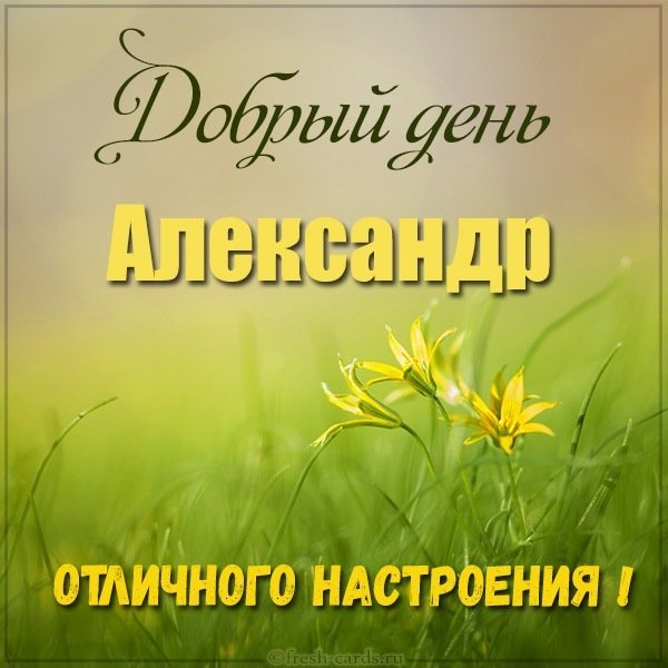 Картинка добрый день Александр