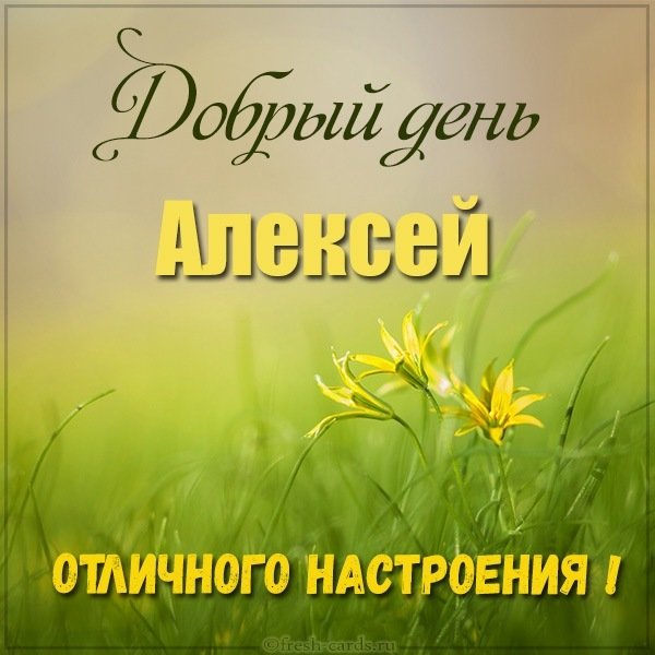 Картинка добрый день Алексей