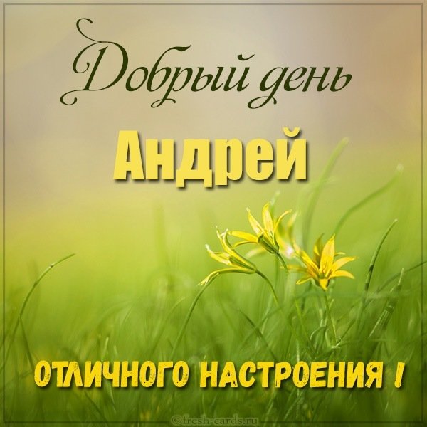Картинка добрый день Андрей