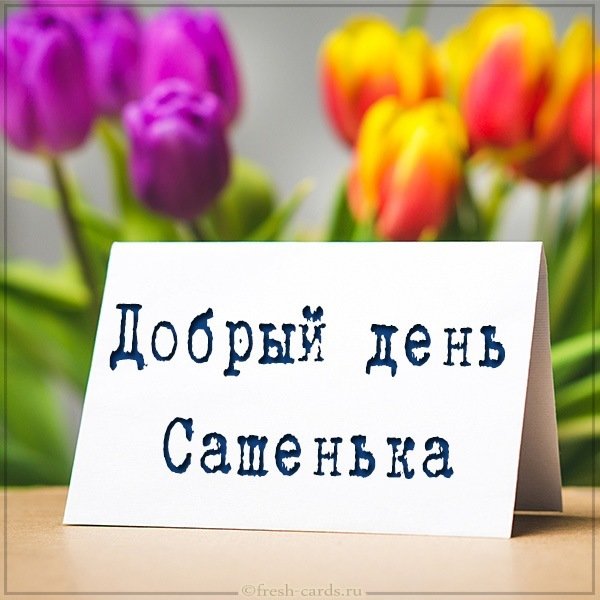 Картинка добрый день Сашенька