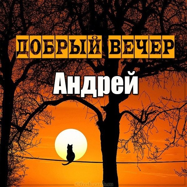 Картинка добрый вечер Андрей