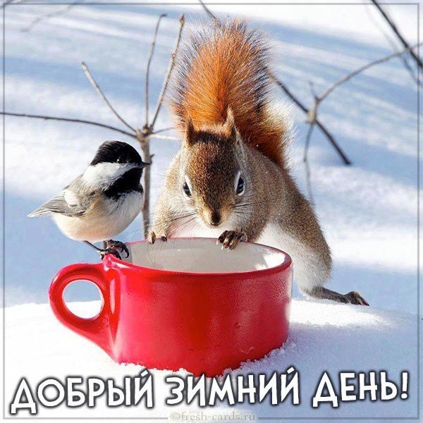 Картинка добрый зимний день