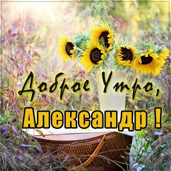 Картинка доброе утро Александр