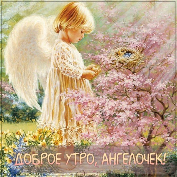 Картинка доброе утро ангелочек девушке