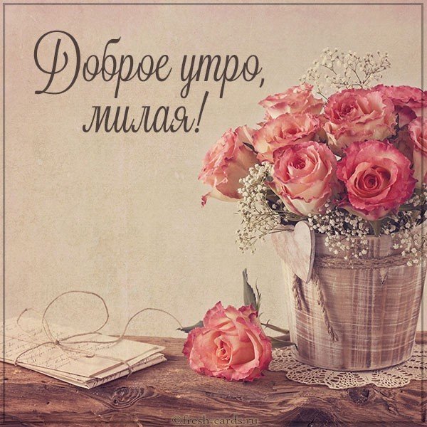 Картинка доброе утро девушке новая