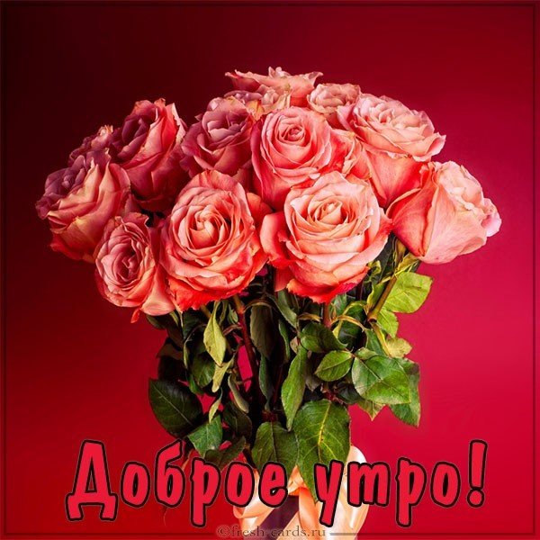 Картинка доброе утро девушке со словами