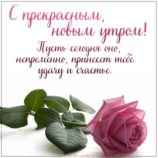 Картинка доброе утро девушке своими словами