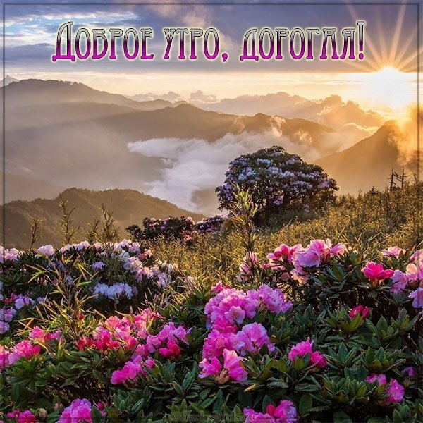 Картинка доброе утро для девушки природа