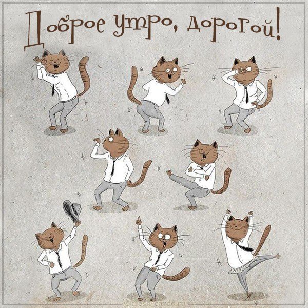 Картинка доброе утро дорогой прикольная смешная
