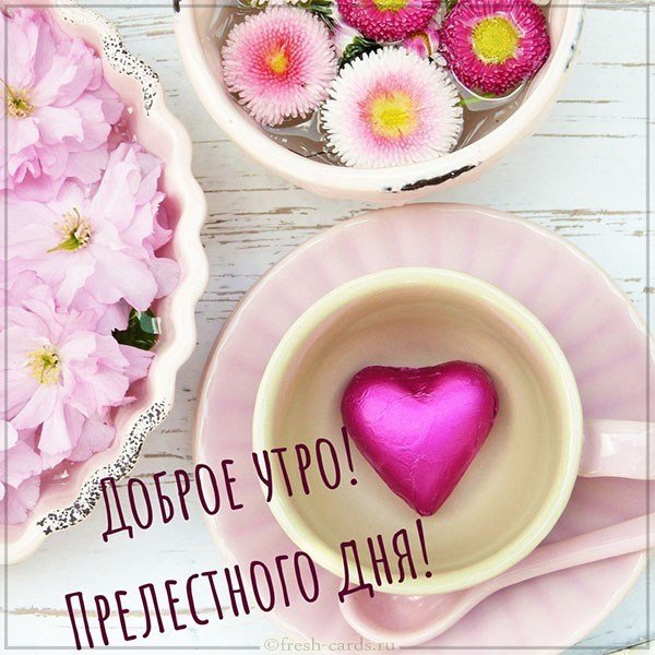 Картинка доброе утро хорошего дня нежная