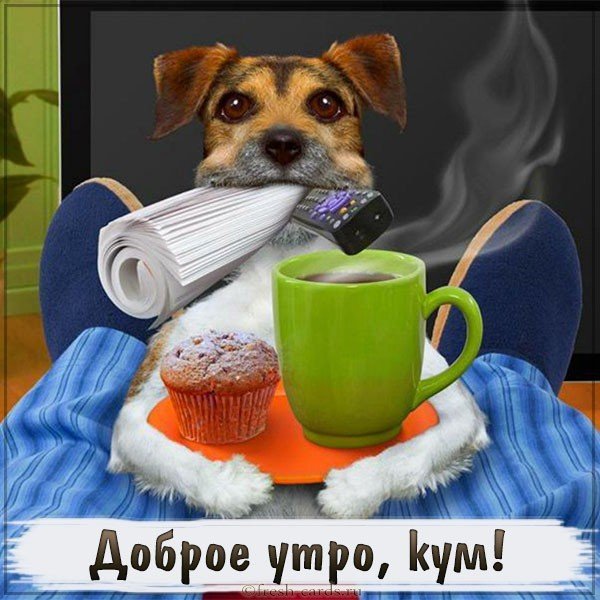Картинка доброе утро кум прикольная