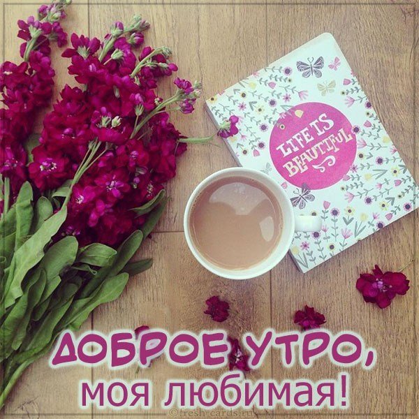 Картинка доброе утро любимая 2019