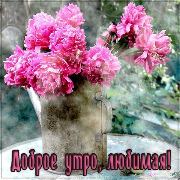 Картинка доброе утро любимая девушка