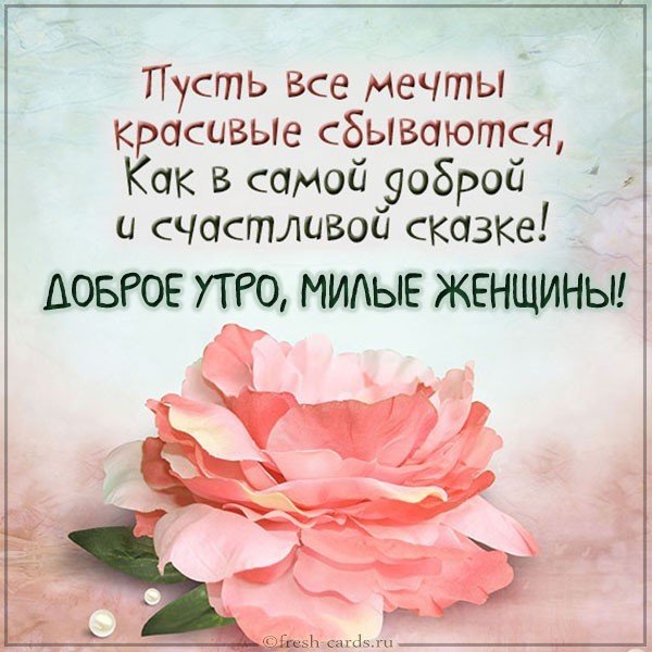 Картинка доброе утро милые женщины