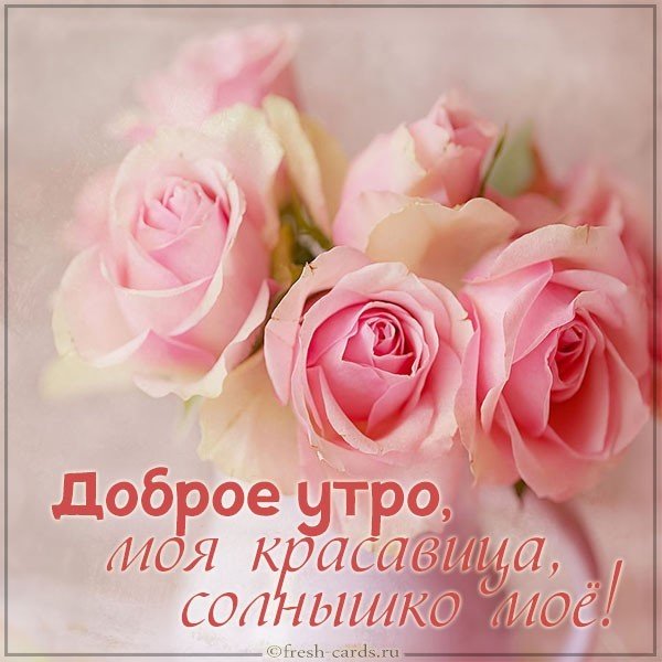 Картинка доброе утро моя красавица наше солнышко