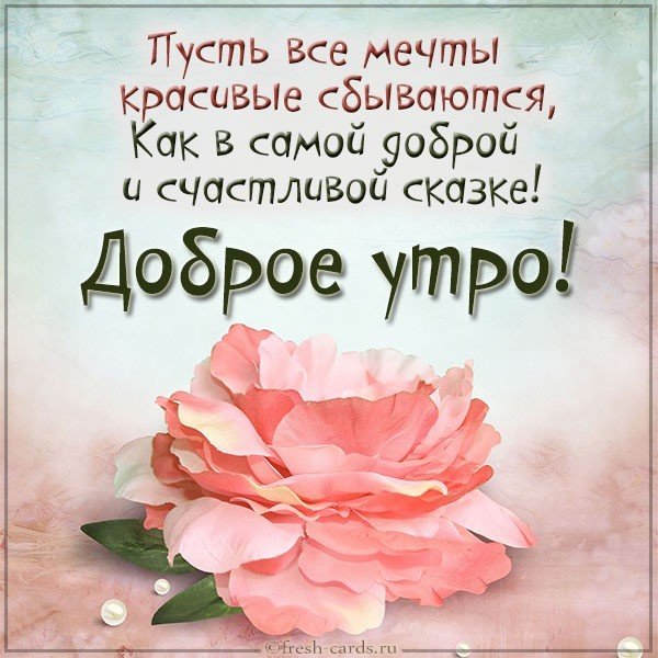 Картинка доброе утро необычная нежная с пожеланием