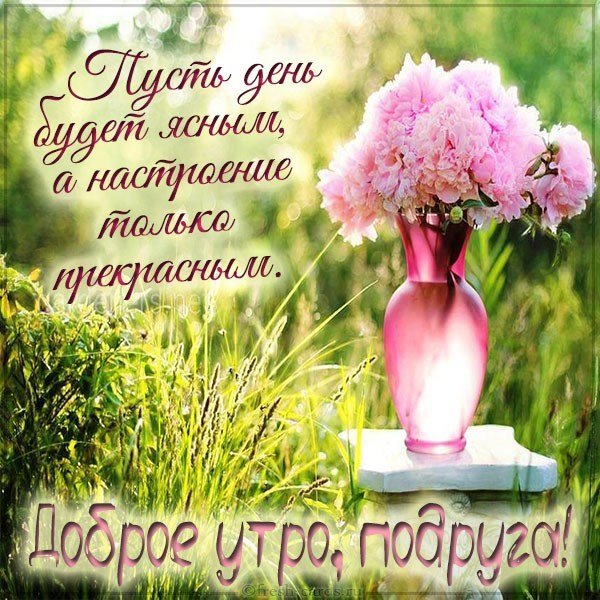 Картинка доброе утро подруга красивая