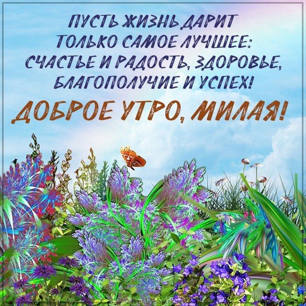 Картинка доброе утро позитивная прикольная девушке