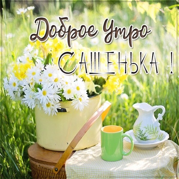 Картинка доброе утро Сашенька
