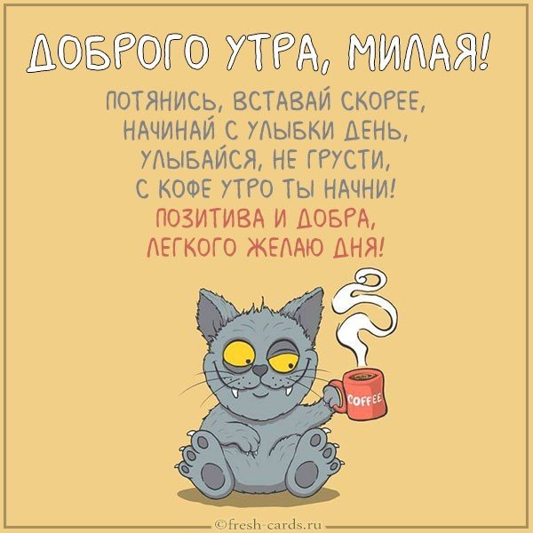 Картинка доброе утро смешная с надписью девушке