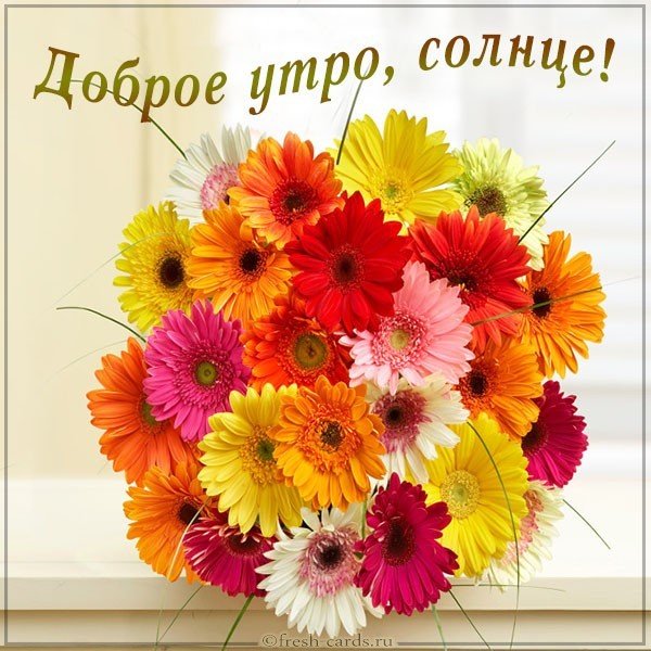 Картинка доброе утро солнце цветы